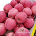 2021 Fuji Apple Red Fuji Apple For Export fuji apple factory
